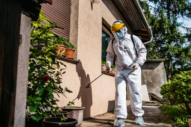 Best Residential Pest Control  in Stanwood, WA