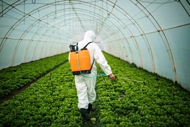 Best Pest Control Near Me  in Stanwood, WA