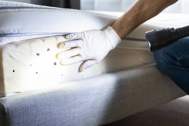 Best Local Pest Control Services  in Stanwood, WA